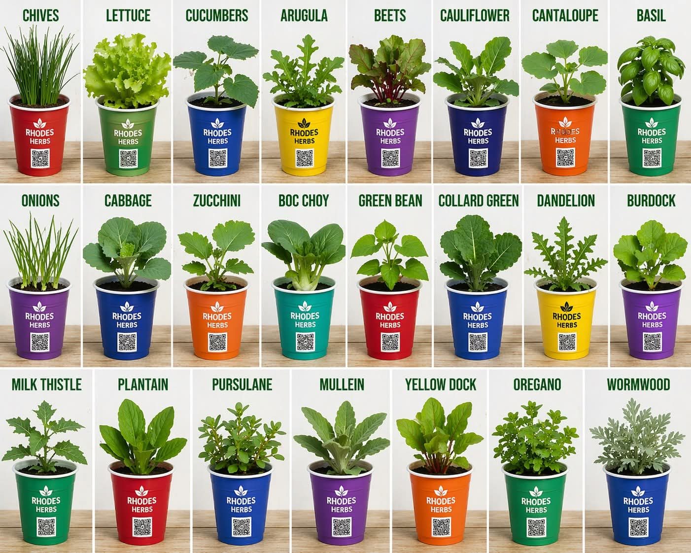 Rhodes Herbs garden starts in branded cups